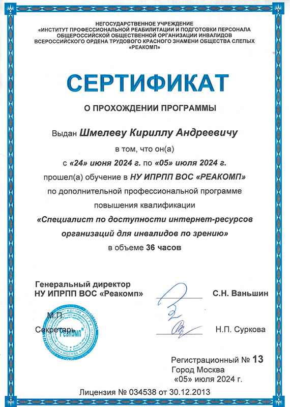 Сертификат о прохождении курсов профессиональной переподготовки по анализу доступности сайтов государственных органов в институте Реакомп Шмелева Кирилла